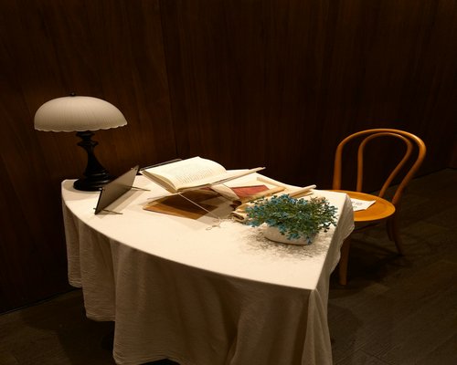 A cozy reading nook with a desk lamp pointing directly at a physical book